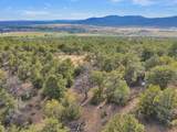 Lot 85 Pinabete Road - Photo 20