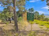 Lot 85 Pinabete Road - Photo 6