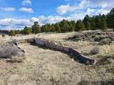 14 Acres Off Camino Grande Road - Photo 15