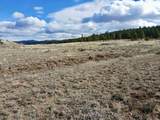14 Acres Off Camino Grande Road - Photo 29