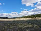 14 Acres Off Camino Grande Road - Photo 33