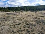 14 Acres Off Camino Grande Road - Photo 4