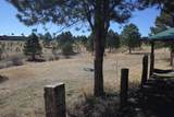 20 Norte Rd - Photo 11