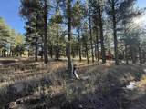 Lot 1113 Oakwood Ln - Photo 1