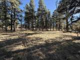 Lot 1113 Oakwood Ln - Photo 4