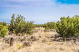 359 Mm 359 Us Highway 285 40 Acres - Photo 35