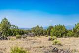359 Mm 359 Us Highway 285 40 Acres - Photo 42
