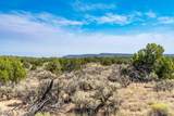 359 Mm 359 Us Highway 285 40 Acres - Photo 45