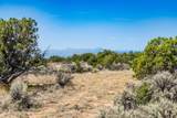 359 Mm 359 Us Highway 285 20 Acres - Photo 39