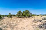 359 Mm 359 Us Highway 285 20 Acres - Photo 41