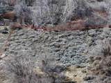 TBD State Road 240 - Photo 26