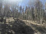 Lot 1283 Via Del Rey - Photo 4