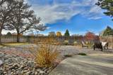 1117 Gusdorf - Photo 32