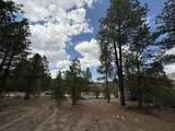 2318 Old Red River Road - Photo 34