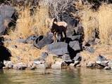 80 Acequia Del Madre Llano - Photo 22