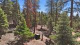  El Salto Road 13 Plus Acres - Photo 10