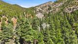  El Salto Road 13 Plus Acres - Photo 11