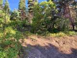  El Salto Road 13 Plus Acres - Photo 13