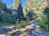  El Salto Road 13 Plus Acres - Photo 14