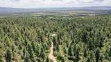  El Salto Road 13 Plus Acres - Photo 16
