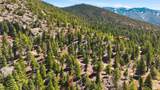  El Salto Road 13 Plus Acres - Photo 17