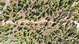  El Salto Road 13 Plus Acres - Photo 19