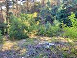  El Salto Road 13 Plus Acres - Photo 20