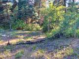  El Salto Road 13 Plus Acres - Photo 21