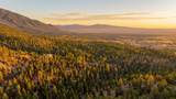  El Salto Road 13 Plus Acres - Photo 30