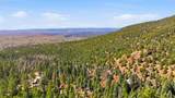  El Salto Road 13 Plus Acres - Photo 6