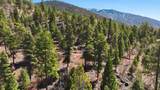  El Salto Road 13 Plus Acres - Photo 8