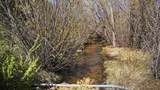  Vir Sylvia Road 4 Plus Acres - Photo 10