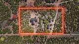  Vir Sylvia Road 4 Plus Acres - Photo 14
