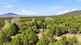  Vir Sylvia Road 4 Plus Acres - Photo 17