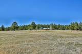 35 Lodge Road - Photo 49