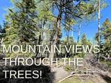 Lot 1479 Peralta Cir - Photo 1