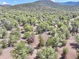 Tract 3 Verde Road - Photo 12