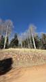 1591 Cascade Overlook - Photo 1