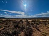14 Desert Flower - Photo 13