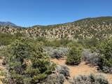 Tract D Witt Road - Photo 2