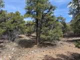 Lot 58 Upper Penabete - Photo 1