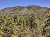 Lot 58 Upper Penabete - Photo 10