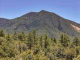 Lot 58 Upper Penabete - Photo 12