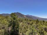 Lot 58 Upper Penabete - Photo 13