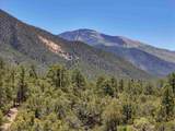 Lot 58 Upper Penabete - Photo 14