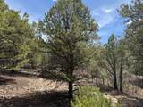 Lot 58 Upper Penabete - Photo 4