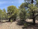 Lot 58 Upper Penabete - Photo 5