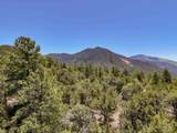 Lot 58 Upper Penabete - Photo 7