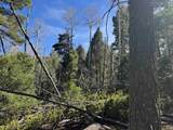 Lot 45 Back Basin Rd - Photo 12