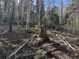 Lot 45 Back Basin Rd - Photo 4